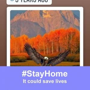 Meet your Posher, Carlos